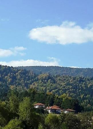 Вили Green Tsigov Chark Buitenkant foto