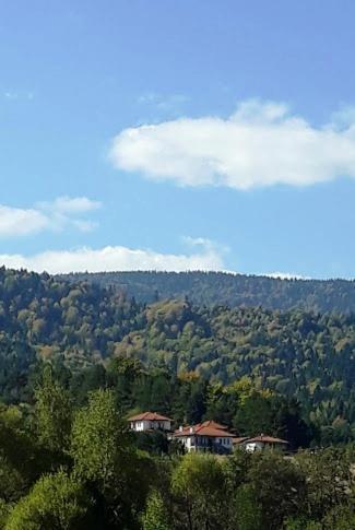 Вили Green Tsigov Chark Buitenkant foto