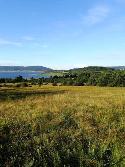 Вили Green Tsigov Chark Buitenkant foto